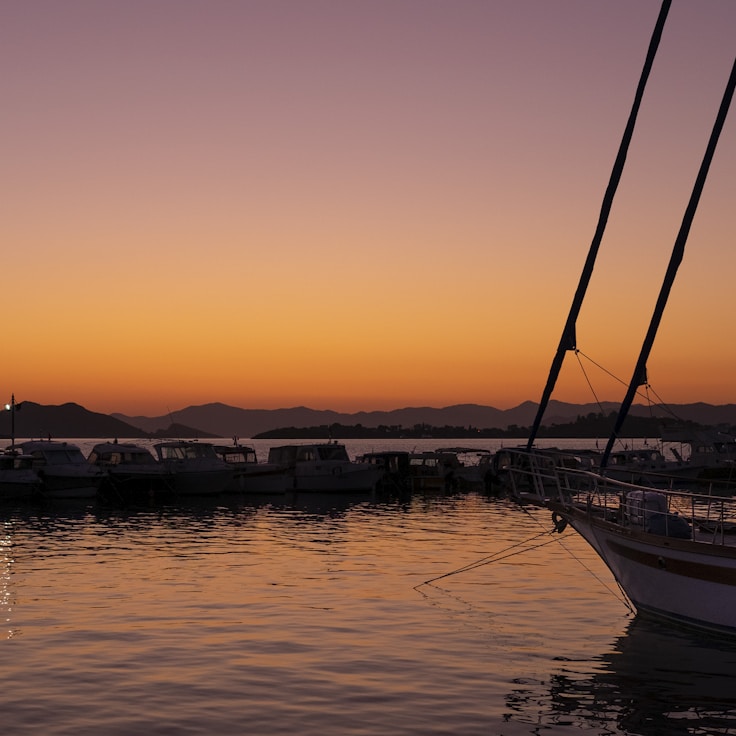 background_image
